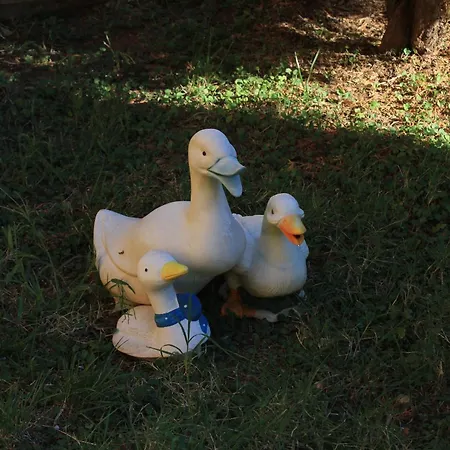 Appartement With A Parking Space Banjole, - 7242 Pula